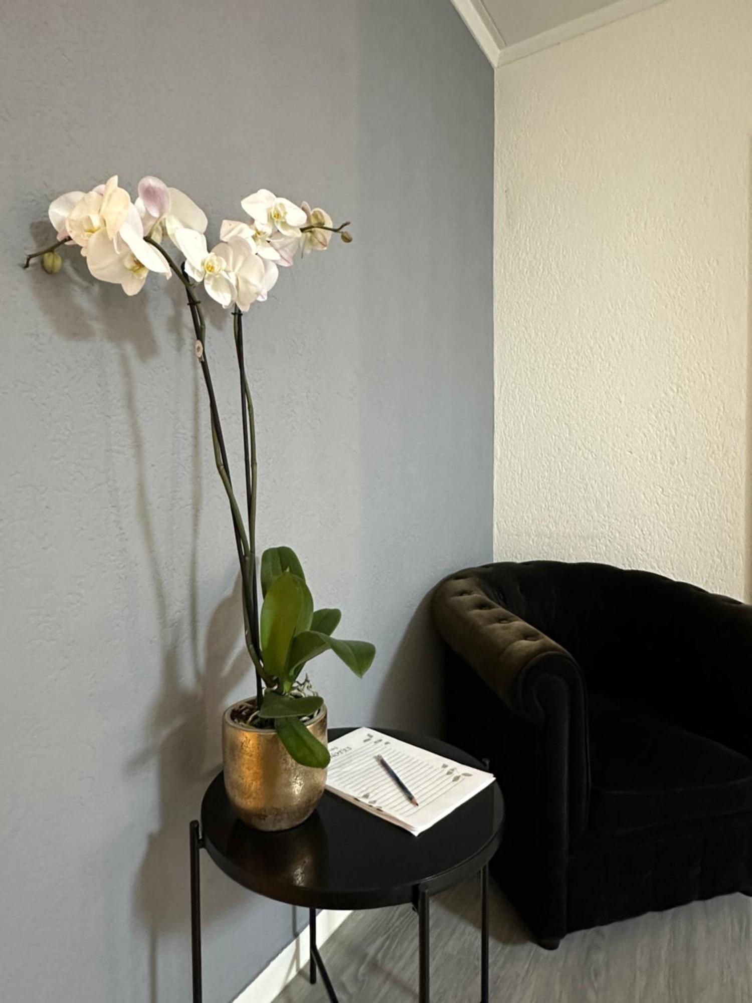 Lindo Apartamento En El Centro De Lausanne Buitenkant foto